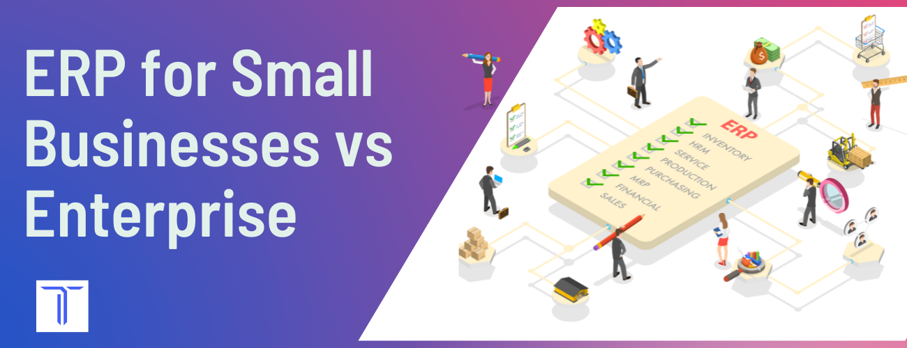 ERP for Small Businesses vs Enterprise : Choosing the Right Fit