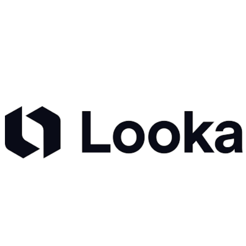 Looka Review